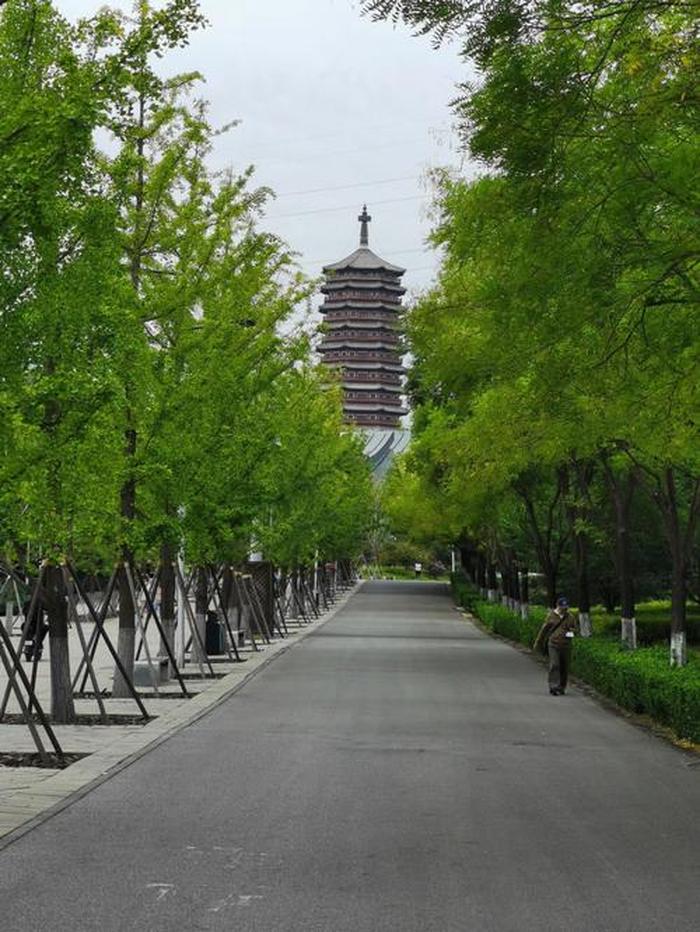 北京园博园,园博园的景点介绍