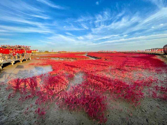 盘锦红海滩最佳观赏时间,什么时候去盘锦红海滩最好
